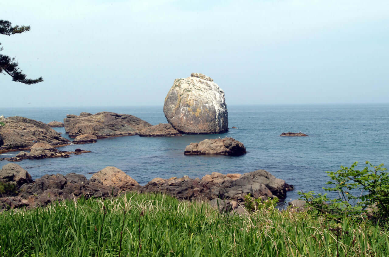 種差海岸 白岩