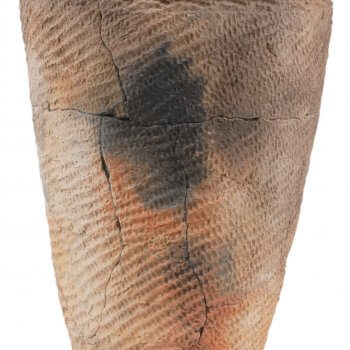 深鉢形土器　円筒下層a式（畑内遺跡出土）