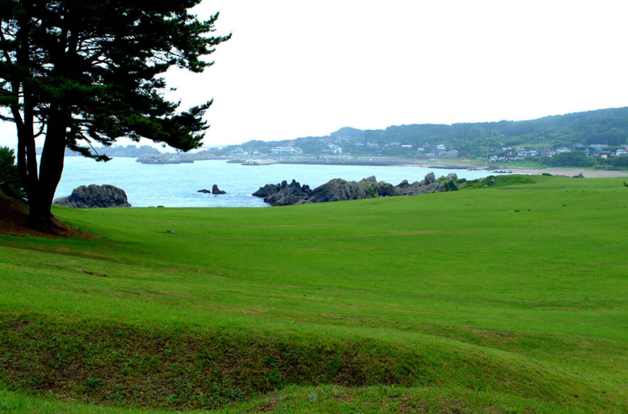 種差海岸 種差天然芝生地