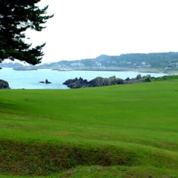 種差海岸 種差天然芝生地