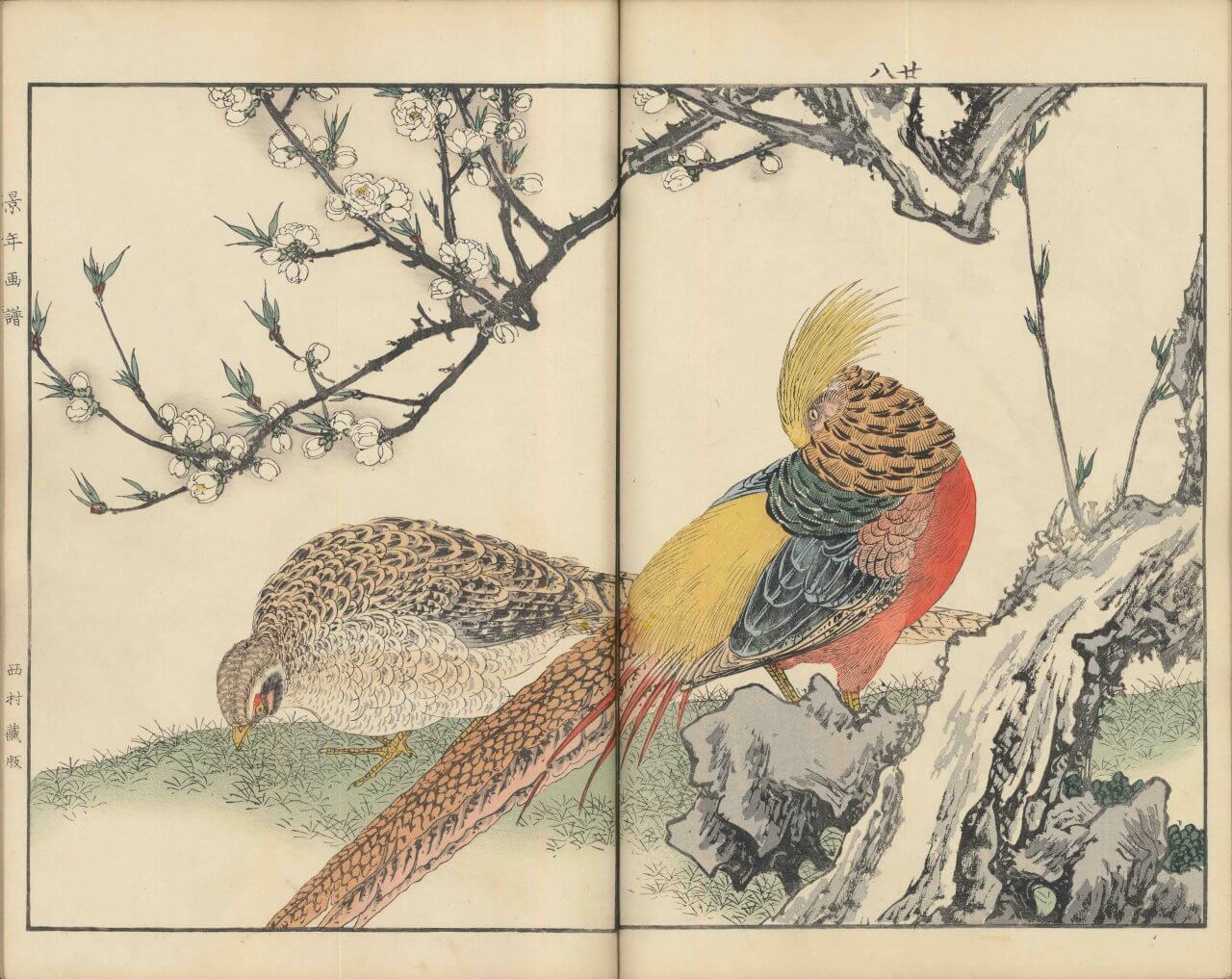 景年花鳥画譜 春ノ部　