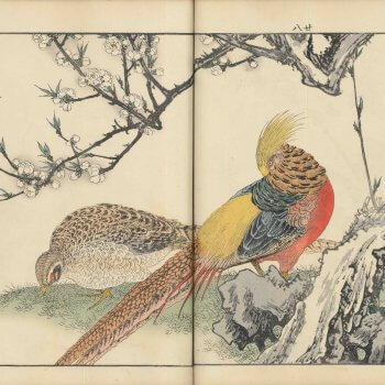 景年花鳥画譜 春ノ部　