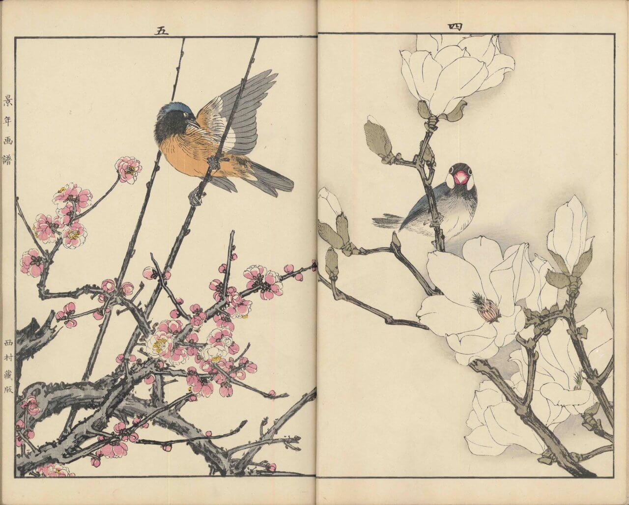 景年花鳥画譜 春ノ部　