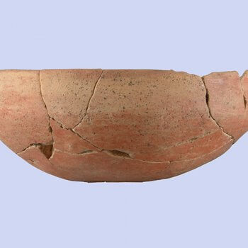 須恵器を模倣した土師器坏